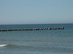 080508_Roald_Amundsen 141